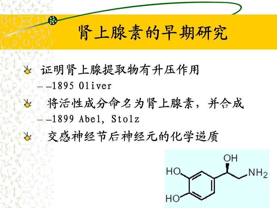 药理学g03 3第三节拟肾上腺素药课件.ppt_第3页