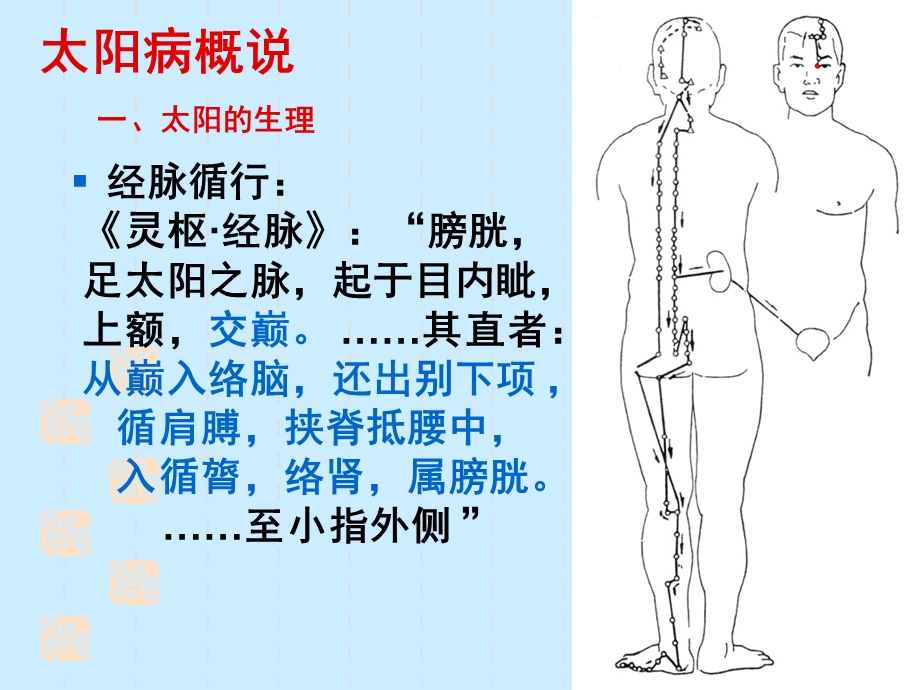 辨太阳病脉证并治课件.ppt_第3页