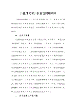 公益性岗位开发管理实施细则.docx