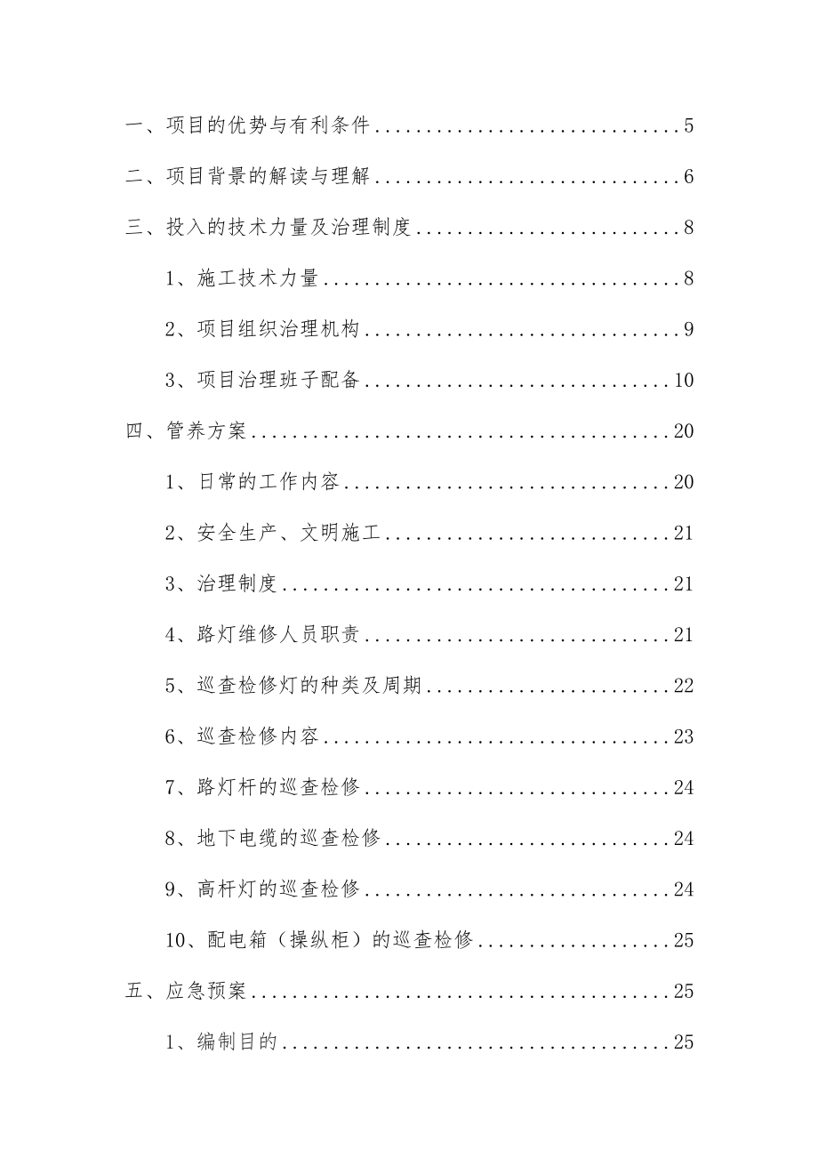 市政路灯新增维护管养项目实施组织策划方案.docx_第2页