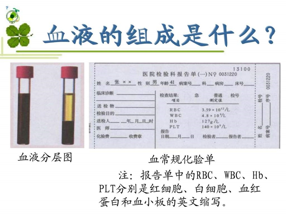 人教版七年级下册生物流动的组织血液课件.ppt_第2页