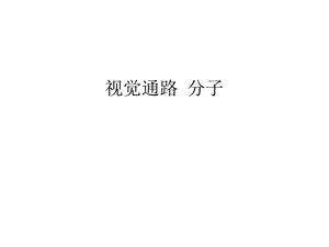 视觉通路 分子讲解学习课件.ppt