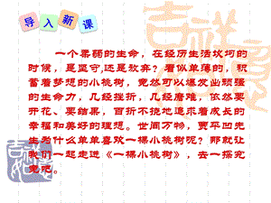 部编人教版《一棵小桃树》教学ppt课件.ppt