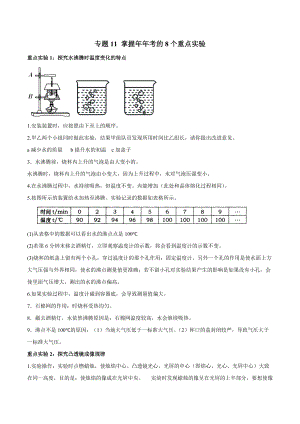 中考物理知识手册-专题11-掌握年年考的8个重点.docx