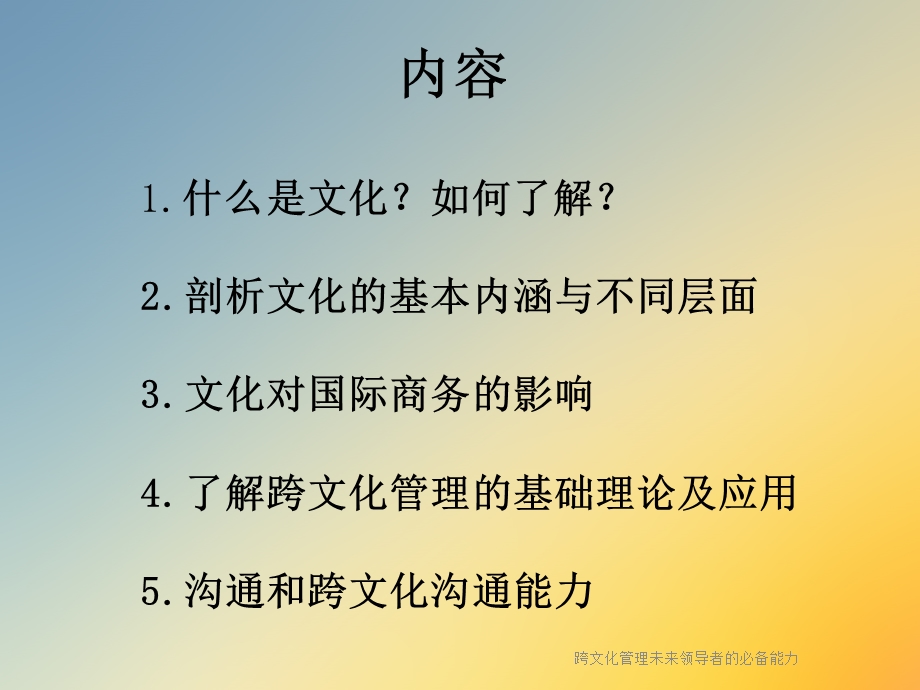 跨文化管理未来领导者的必备能力课件.ppt_第2页