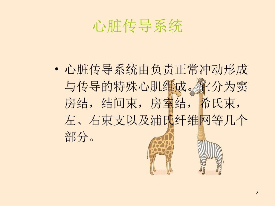 起搏器护理课件.ppt_第2页