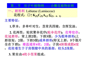 药用植物学—— 被子植物代表植物(三)课件.ppt