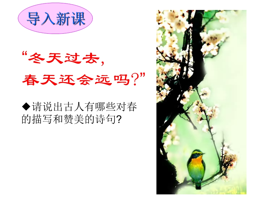 部编人教版《春》教学ppt课件.ppt_第1页