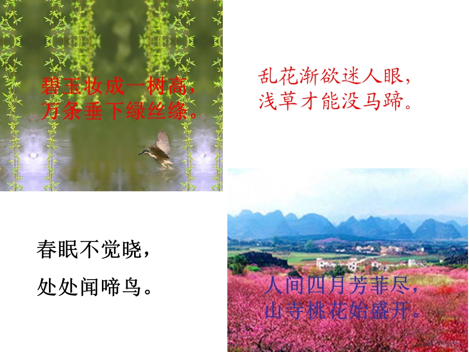 部编人教版《春》教学ppt课件.ppt_第2页