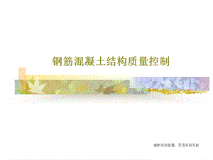 钢筋混凝土结构质量控制课件.ppt