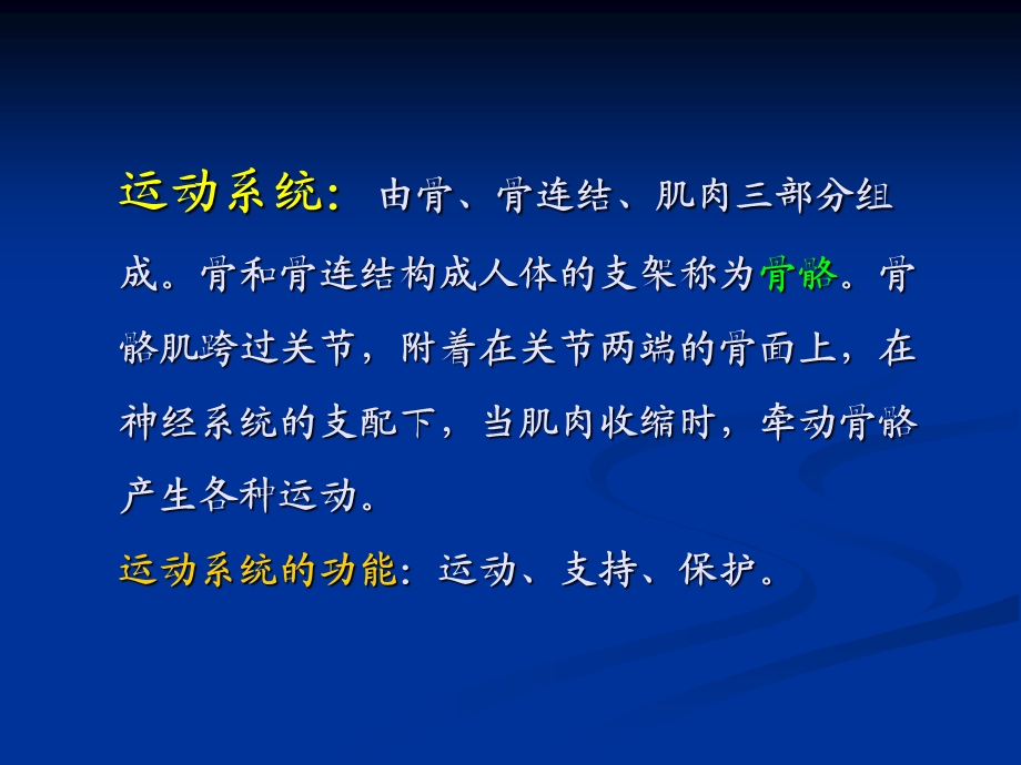 运动系统解剖生理学课件.ppt_第2页