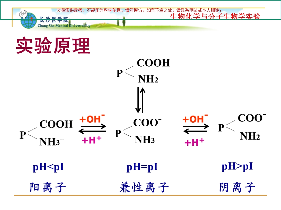 蛋白质的两性反应和等电点测定ppt课件.ppt_第2页