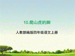 部编版四年级上册语文《10爬山虎的脚》练习题ppt课件.ppt