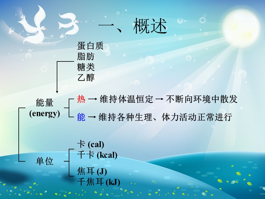 营养学能量的计算ppt课件.ppt_第1页