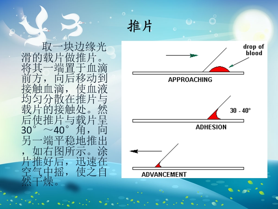 血涂片制作与染色ppt课件.ppt_第1页