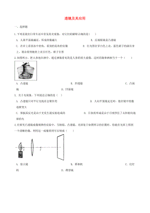 中考物理总复习透镜及其应用专题训.doc