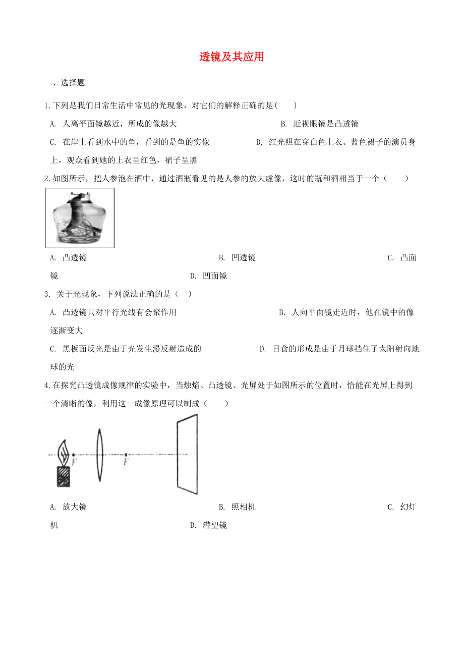 中考物理总复习透镜及其应用专题训.doc_第1页