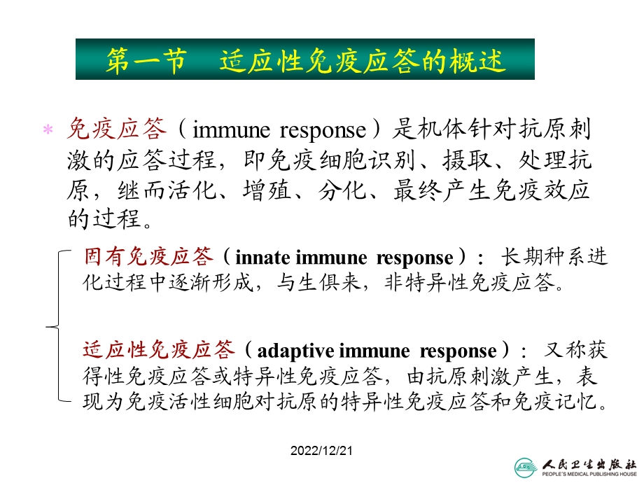 适应性免疫应答课件.ppt_第3页