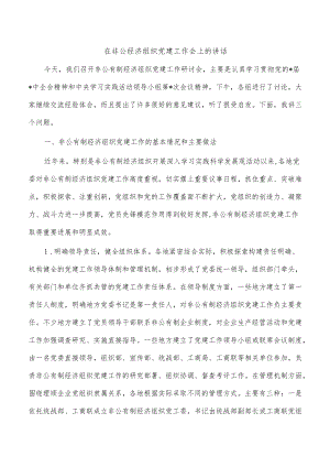 在非公经济组织党建工作会上的讲话.docx