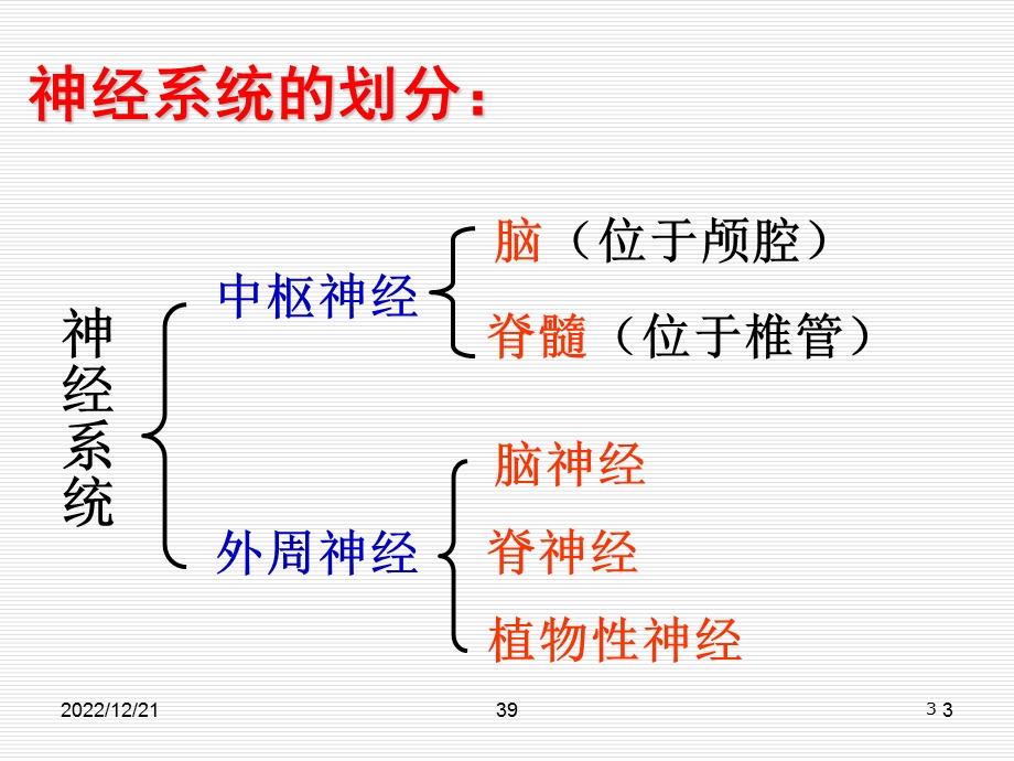 运动解剖——神经系统课件.ppt_第3页