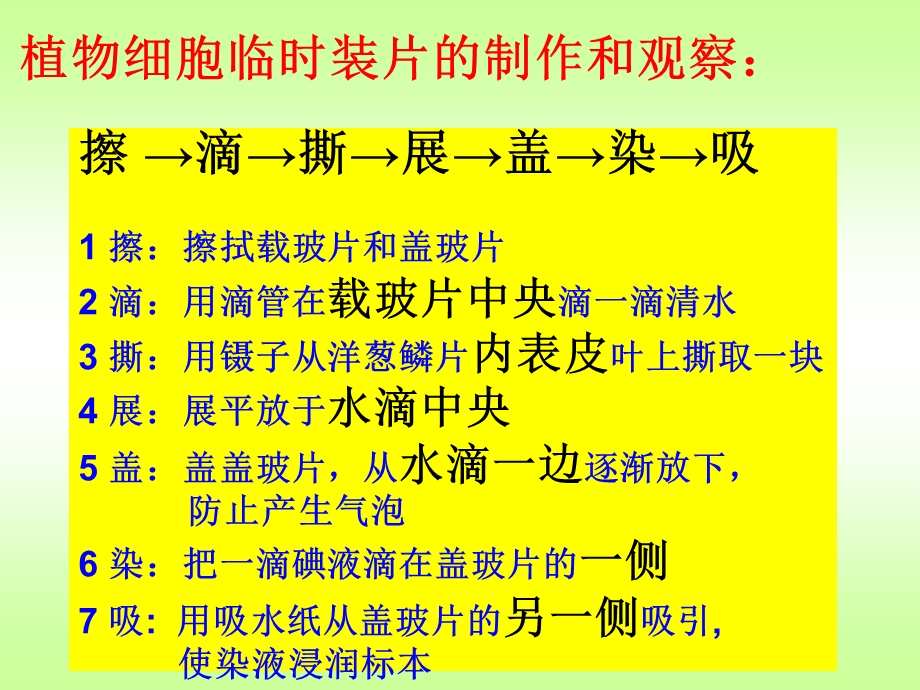 观察动物细胞 课件.ppt_第3页