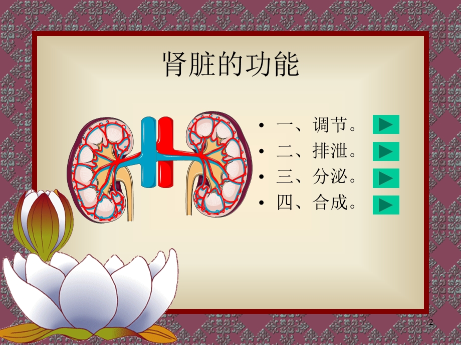 血液透析入门课件.ppt_第2页