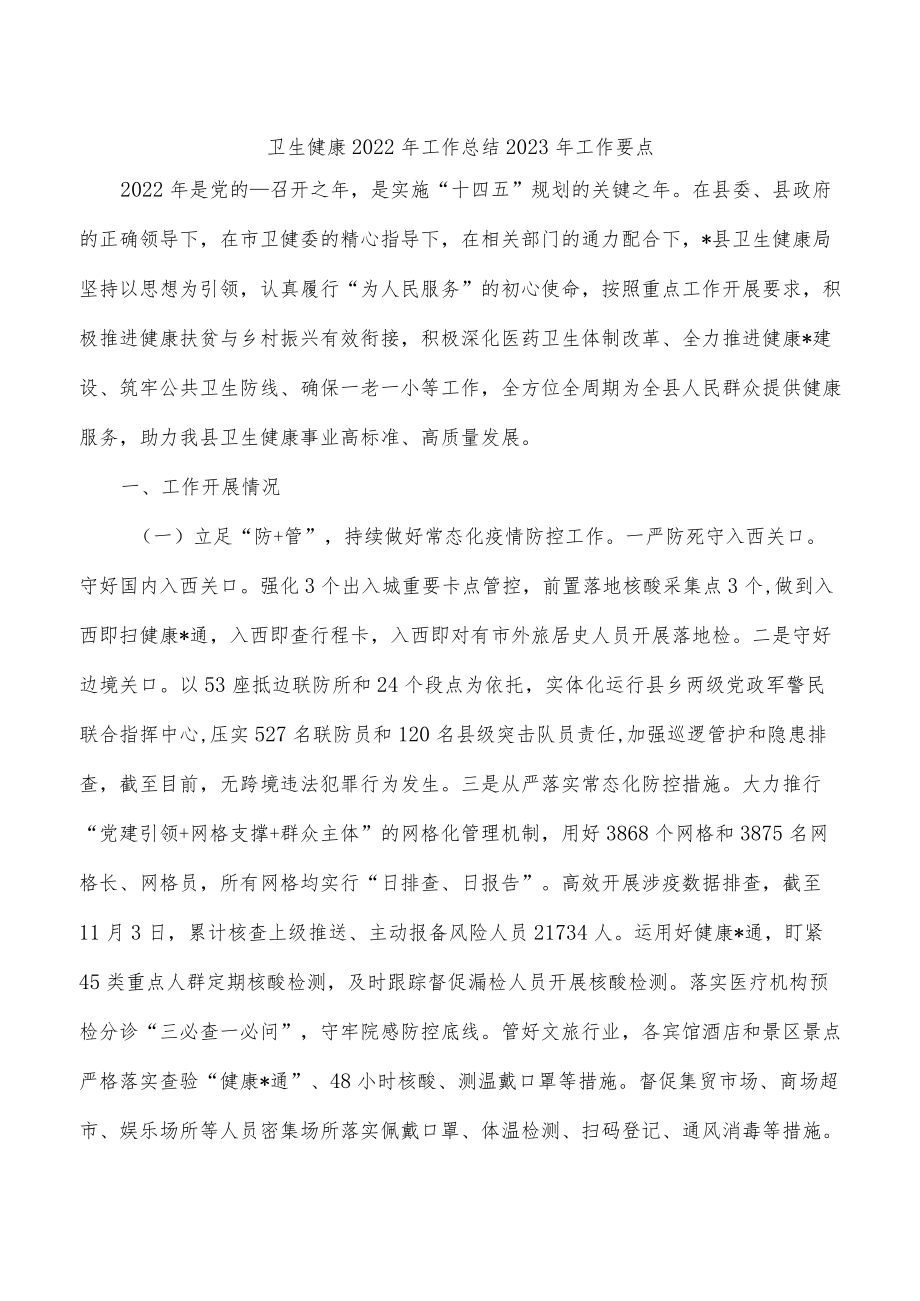 卫生健康2022年工作总结2023年工作要点.docx_第1页