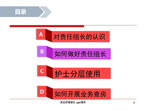 责任护理组长 课件.ppt