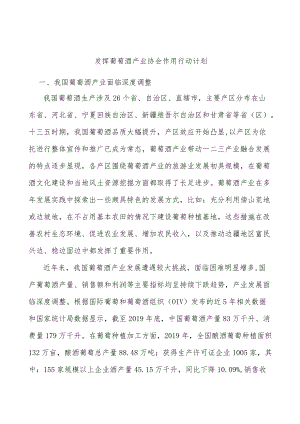 发挥葡萄酒产业协会作用行动计划.docx