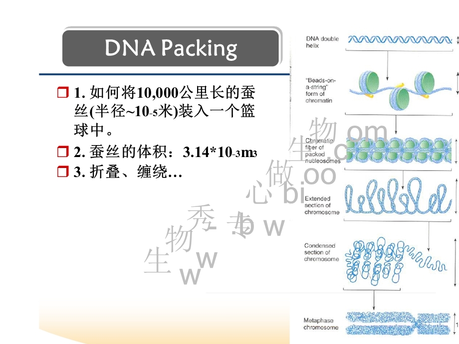 表观遗传学 第三章 组蛋白修饰 课件.ppt_第2页