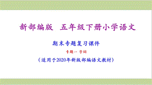 部编人教版五年级下册语文全套期末专项复习ppt课件.ppt