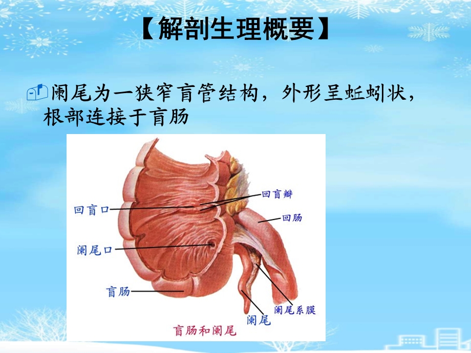 阑尾炎2021完整版课件.ppt_第2页