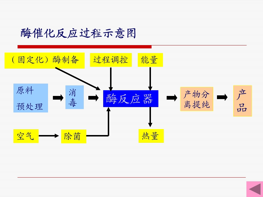 酶反应器ppt课件.ppt_第3页