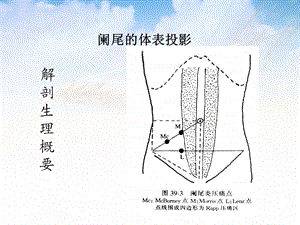 阑尾疾病ppt课件.ppt