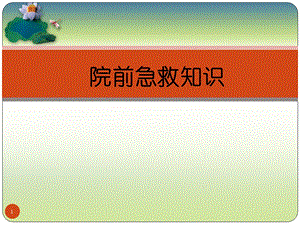 院前急救知识 课件.ppt