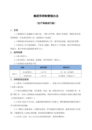 集团导师制管理办法.doc