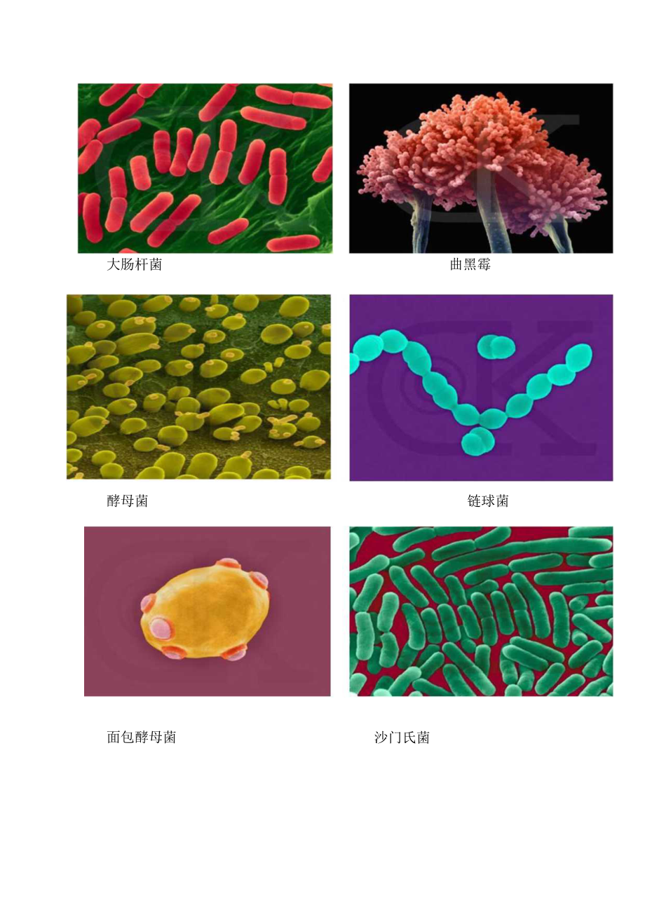 卫生消毒知识新员工培训教材.docx_第3页