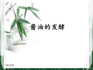 酱油的发酵 课件.ppt