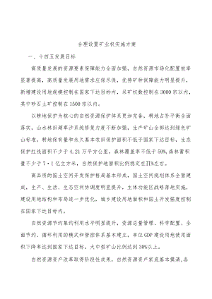 合理设置矿业权实施方案.docx