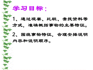 说明要抓住事物特征课件.ppt