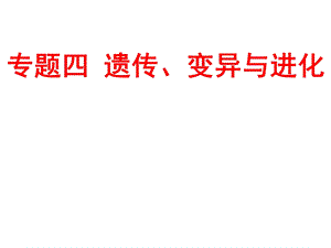 遗传的分子基础二轮复习 课件.ppt