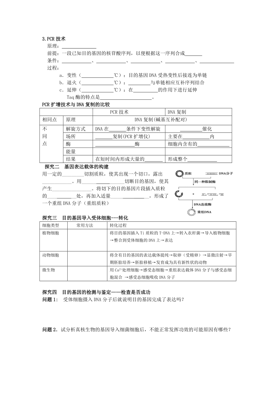 基因工程的基本操作程序学案.doc_第3页