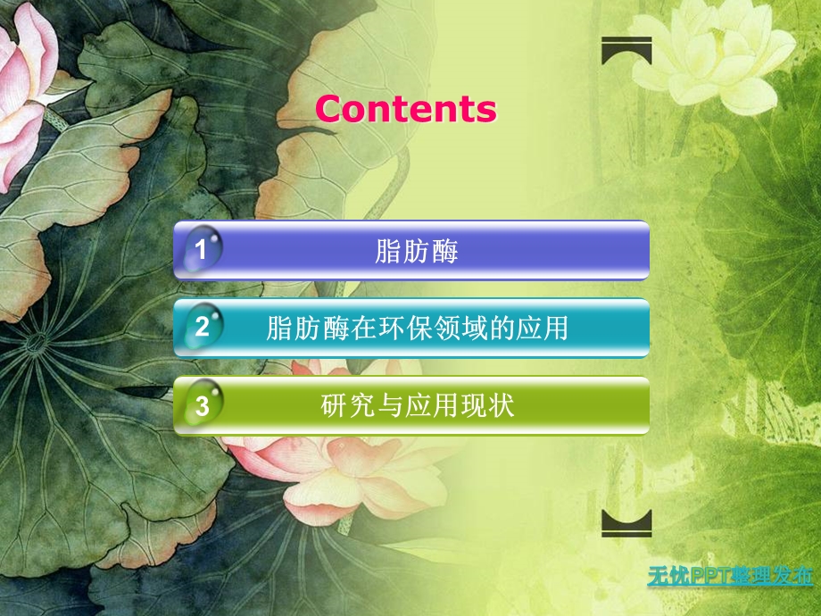 酶在环保领域的应用 课件.ppt_第2页