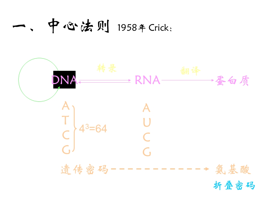 酶工程酶的发酵生产课件.ppt_第2页