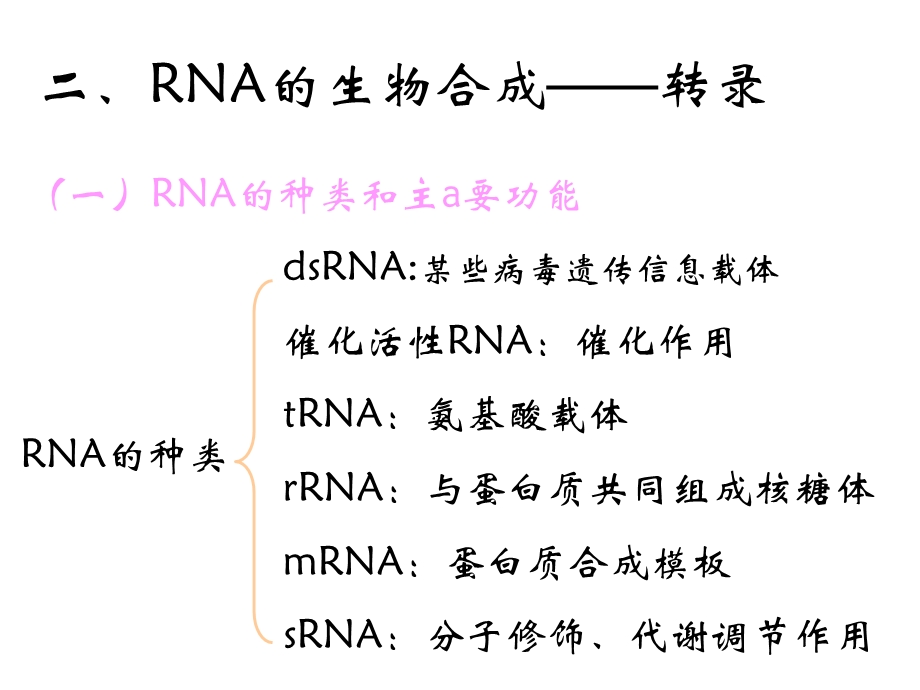 酶工程酶的发酵生产课件.ppt_第3页