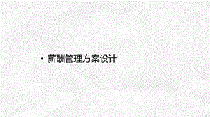 薪酬管理设计方案课件.ppt