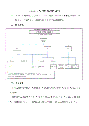 电器有限公司人力资源战略规划.doc