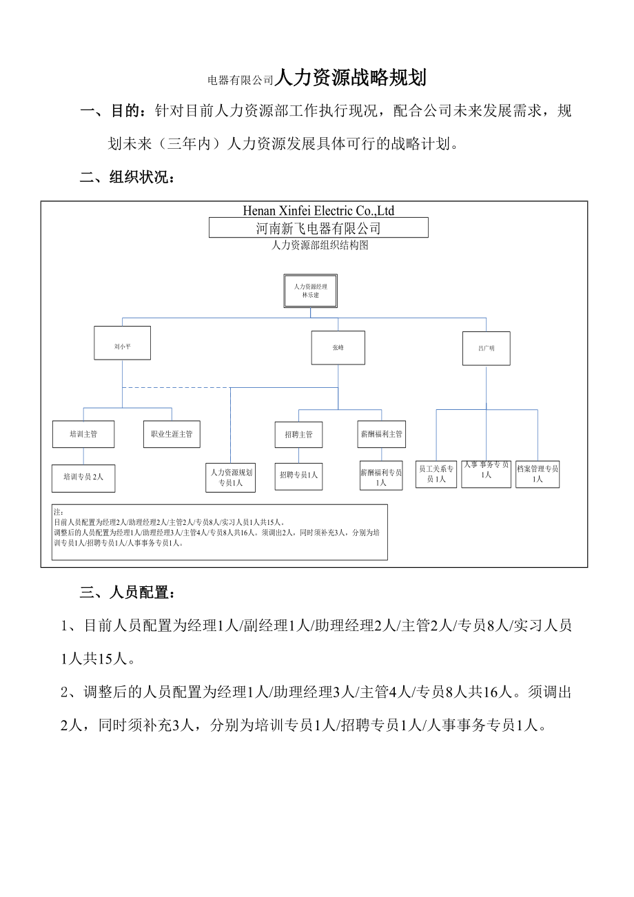 电器有限公司人力资源战略规划.doc_第1页