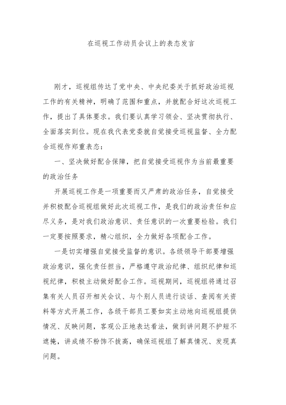 在巡视工作动员会议上的表态发言.docx_第1页