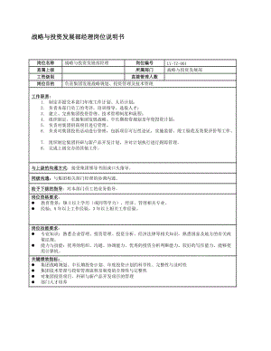 战略与投资部岗位设计.doc